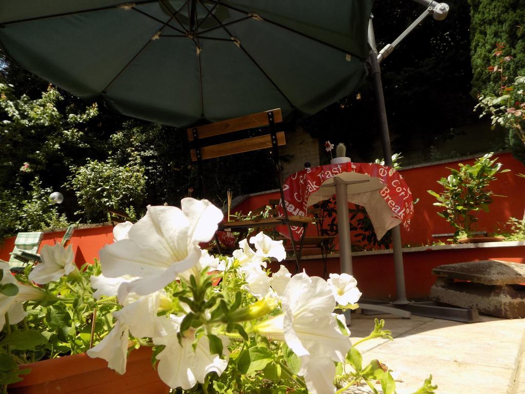 B&B Il Giardino Delle Camelie Palestrina Luaran gambar