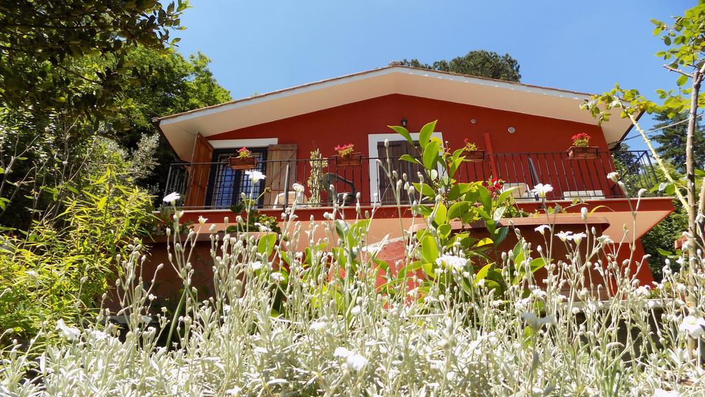 B&B Il Giardino Delle Camelie Palestrina Luaran gambar